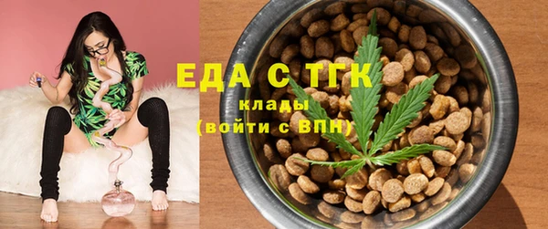 spice Богородицк