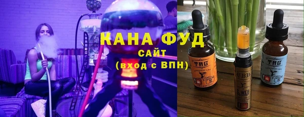 spice Богородицк